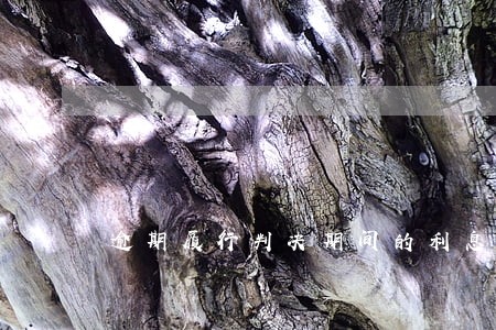 逾期履行判决期间的利息是多少 逾期履行判决期间的利息是多少