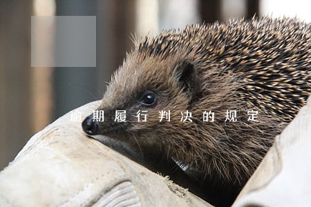 逾期履行判决的规定 逾期履行判决的规定