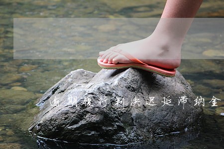 逾期履行判决迟延滞纳金