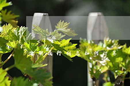 逾期履行利息如何计算