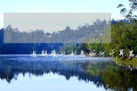 逾期履行利息如何计算器 逾期履行利息如何计算器