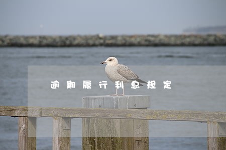 逾期履行利息规定 逾期履行利息规定
