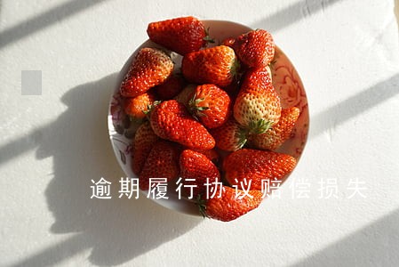 逾期履行协议赔偿损失 逾期履行协议赔偿损失