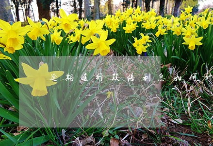 逾期履行双倍利息如何计算 逾期履行双倍利息如何计算