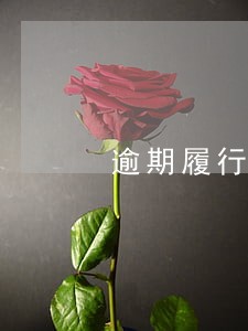 逾期履行合同损失鉴定 逾期履行合同损失鉴定