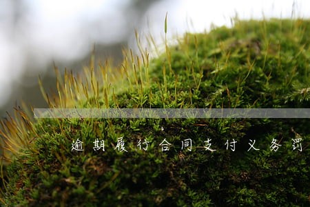 逾期履行合同支付义务罚息计算 逾期履行合同支付义务罚息计算