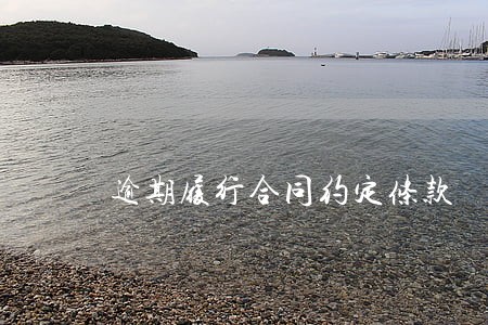 逾期履行合同约定条款 逾期履行合同约定条款