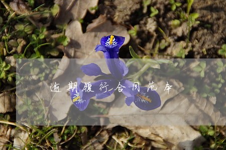 逾期履行合同范本 逾期履行合同范本