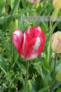 逾期履行合同行为违规适用法规 逾期履行合同行为违规适用法规