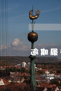 逾期履行合同行为适用法规 逾期履行合同行为适用法规