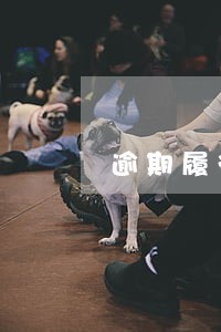 逾期履行后协商未果 逾期履行后协商未果