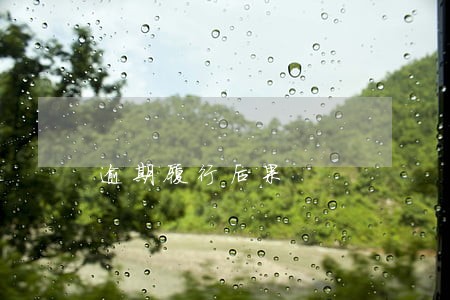 逾期履行后果