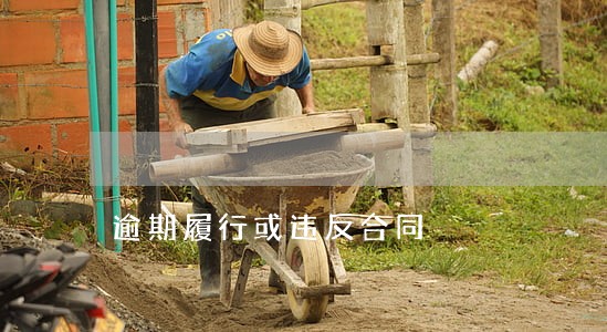 逾期履行或违反合同 逾期履行或违反合同