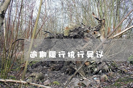 逾期履行执行异议 逾期履行执行异议