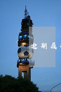 逾期履行期间债务利息 逾期履行期间债务利息
