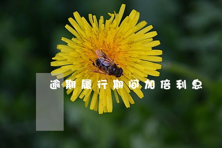 逾期履行期间加倍利息