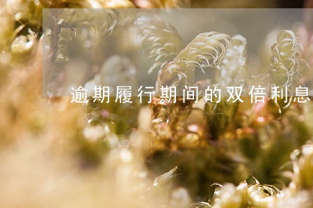 逾期履行期间的双倍利息 逾期履行期间的双倍利息