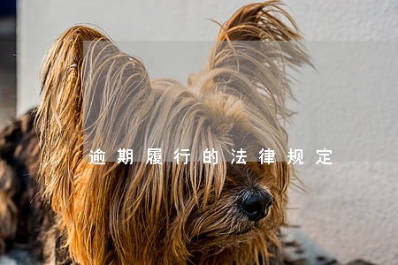 逾期履行的法律规定 逾期履行的法律规定