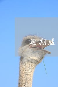 逾期履行的违约金该如何规定 逾期履行的违约金该如何规定