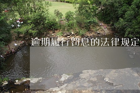 逾期履行罚息的法律规定 逾期履行罚息的法律规定