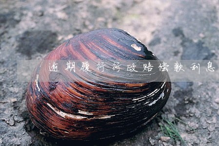 逾期履行行政赔偿款利息 逾期履行行政赔偿款利息