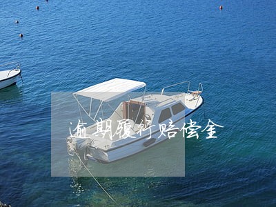 逾期履行赔偿金 逾期履行赔偿金
