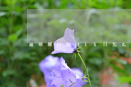 逾期履行超过15日怎么解读 逾期履行超过15日怎么解读