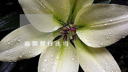 逾期履行违约 逾期履行违约