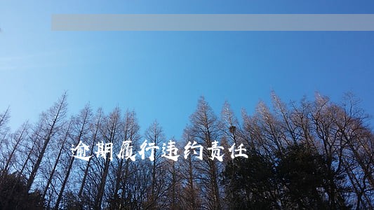 逾期履行违约责任 逾期履行违约责任