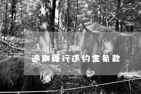 逾期履行违约金条款 逾期履行违约金条款