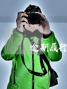 逾期履行违约金标准过低 逾期履行违约金标准过低