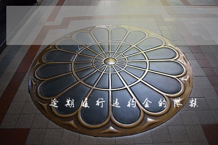 逾期履行违约金的限额 逾期履行违约金的限额