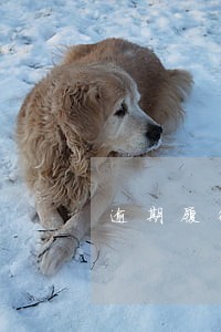 逾期履行违约金额 逾期履行违约金额