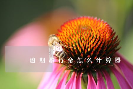 逾期履行金怎么计算器 逾期履行金怎么计算器