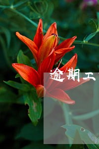 逾期工作单位催收 逾期工作单位催收