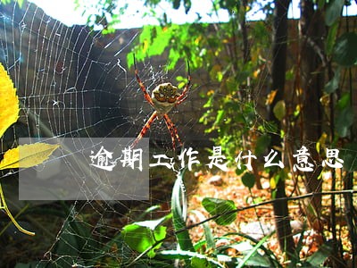逾期工作是什么意思 逾期工作是什么意思