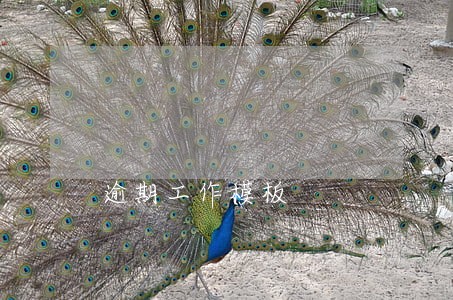 逾期工作模板 逾期工作模板
