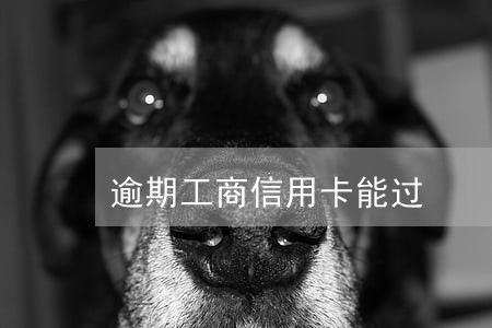 逾期工商信用卡能过 逾期工商信用卡能过