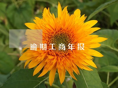 逾期工商年报 逾期工商年报