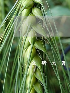 逾期工商年检如何处罚 逾期工商年检如何处罚