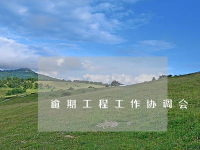 逾期工程工作协调会 逾期工程工作协调会
