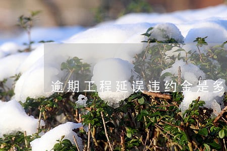 逾期工程延误违约金是多少钱 逾期工程延误违约金是多少钱