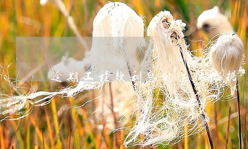 逾期工程款利息的法律依据 逾期工程款利息的法律依据
