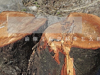 逾期工程款利率怎么算合理 逾期工程款利率怎么算合理