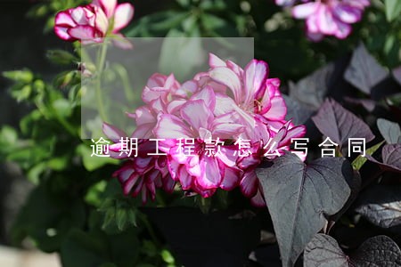 逾期工程款怎么写合同 逾期工程款怎么写合同