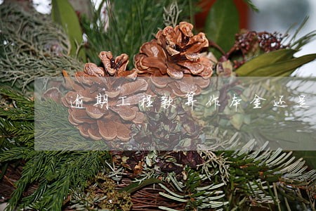 逾期工程款算作本金还是利息 逾期工程款算作本金还是利息
