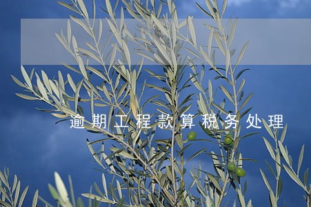 逾期工程款算税务处理 逾期工程款算税务处理