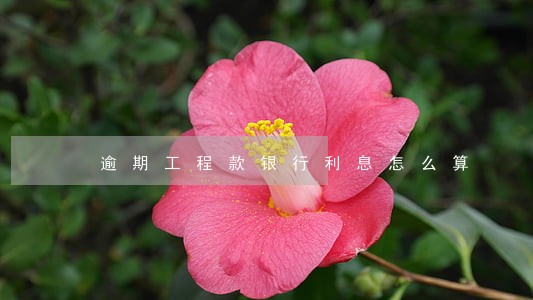 逾期工程款银行利息怎么算 逾期工程款银行利息怎么算