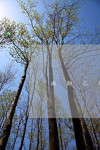 逾期已修复什么意思 逾期已修复什么意思