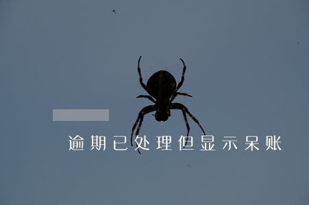 逾期已处理但显示呆账 逾期已处理但显示呆账